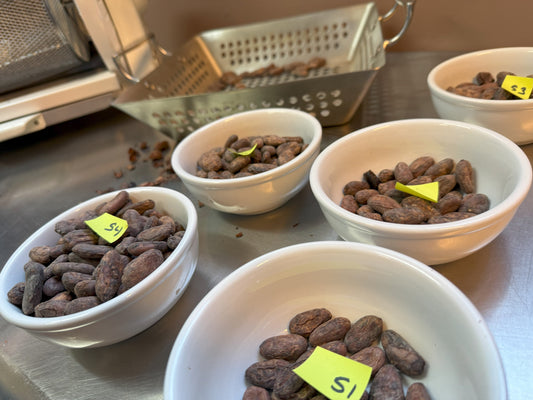 First Roasts from Bisiesto: A New Cocoa Origin with Exciting Potential