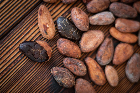 roasted cocoa beans
